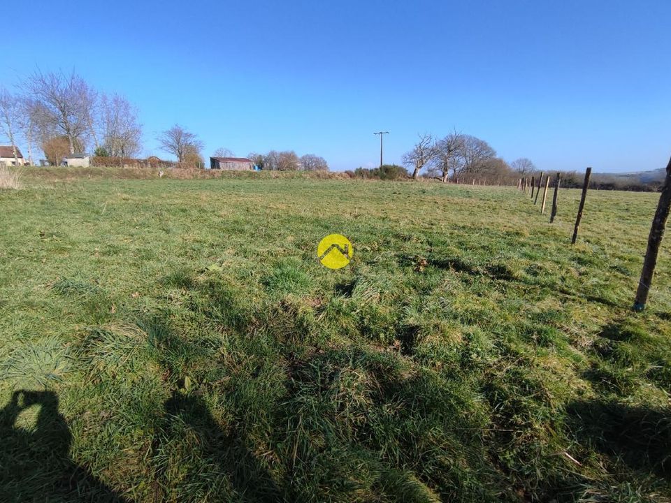 Helårsgrund i Vailly-sur-Sauldre, Cher - foto 3