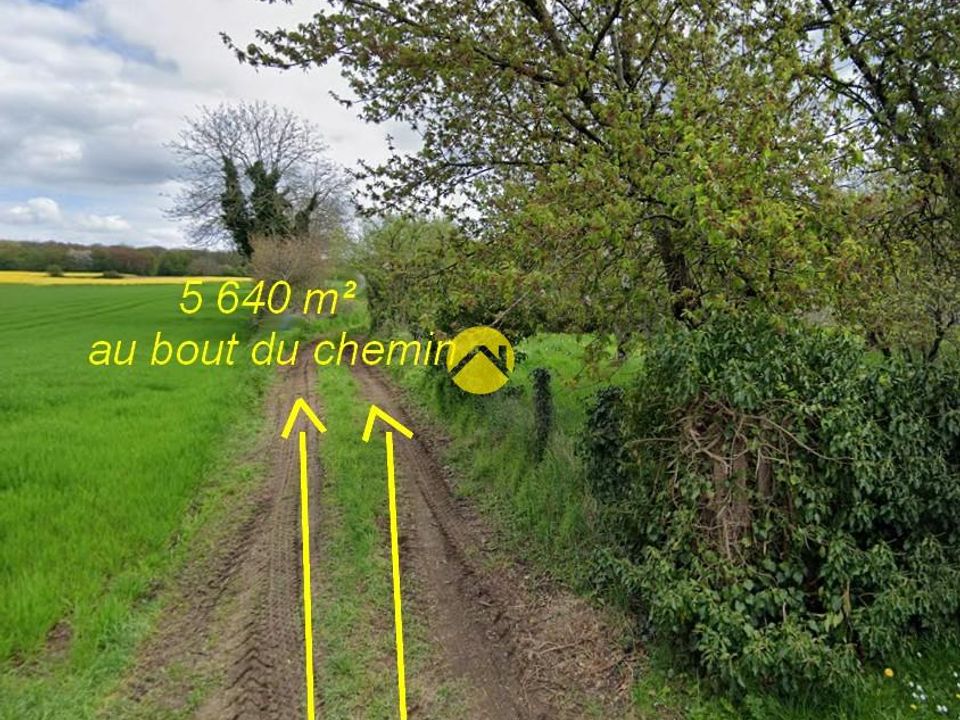 Tomt i Flavigny, Cher - bilde 1