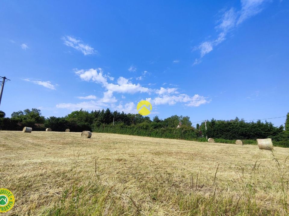 Helårsgrund i Torteron, Cher - foto 2