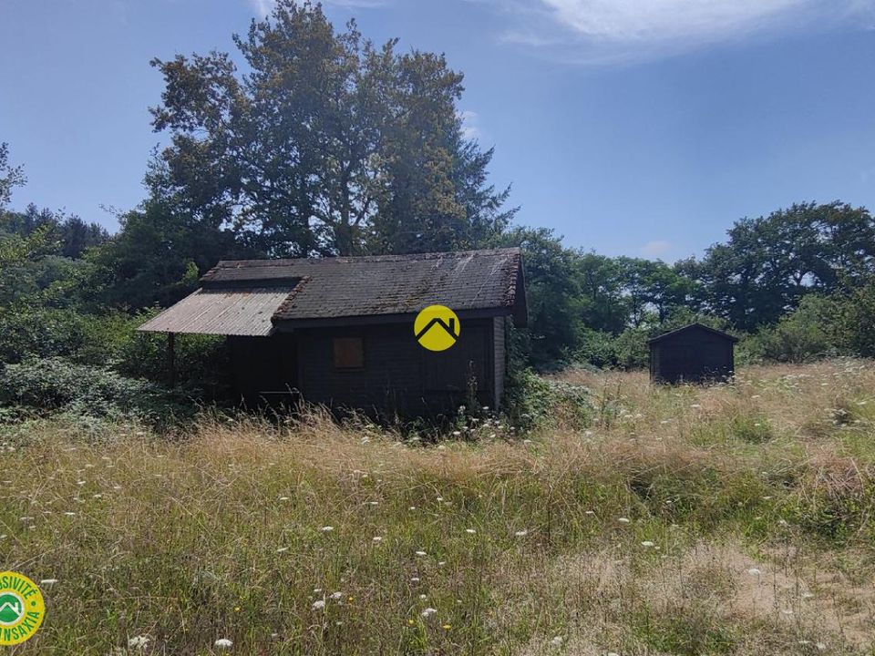 Helårsgrund i Mornay-sur-Allier, Cher - foto 4