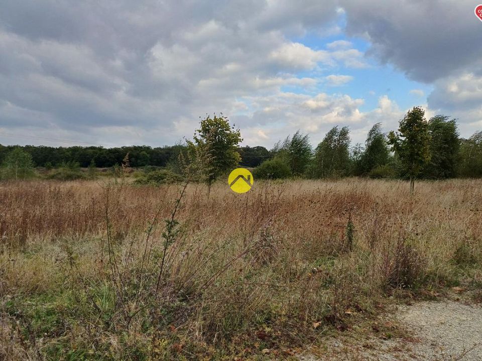 Tomt i Saint-Florent-sur-Cher, Cher - bilde 5