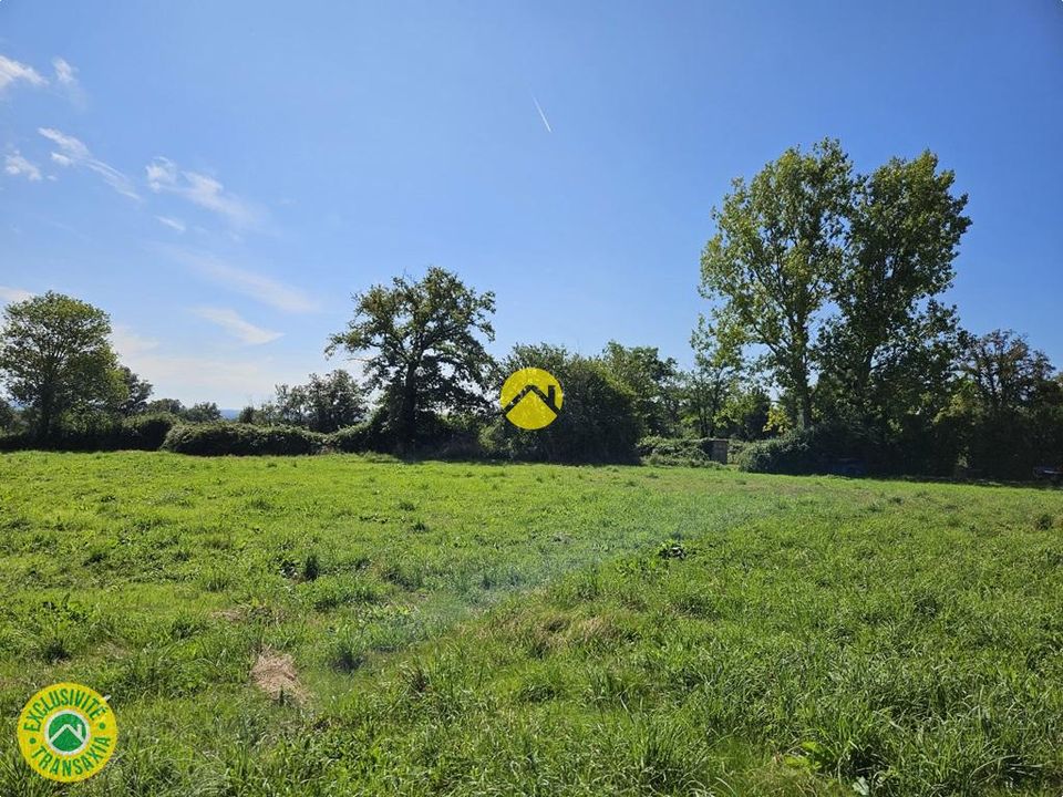 Helårsgrund i Venas, Allier - foto 3
