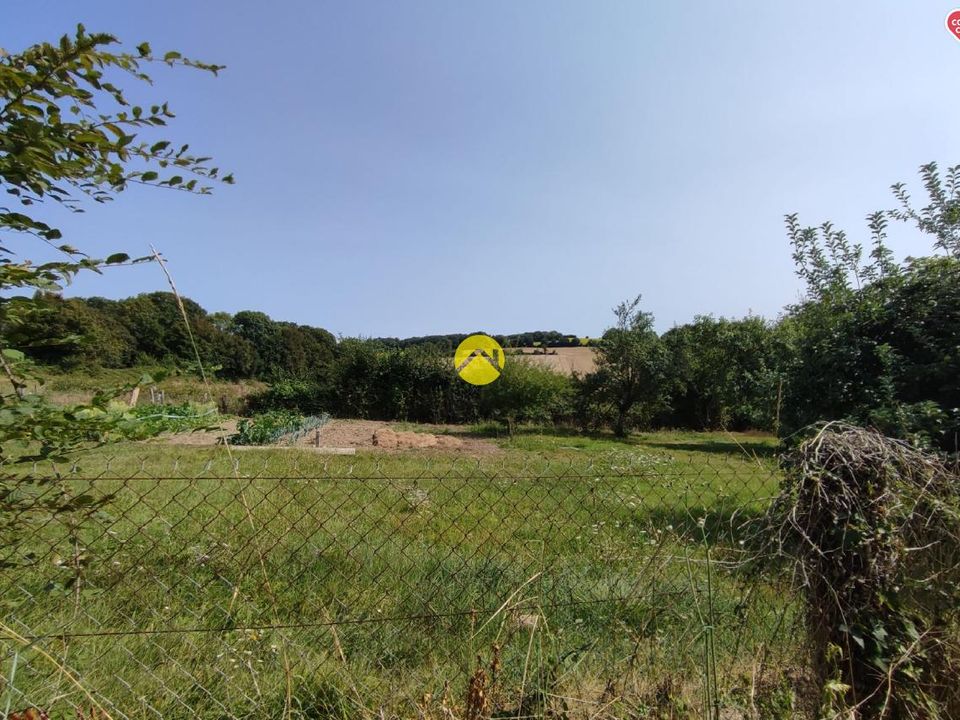 Helårsgrund i Barlieu, Cher - foto 3