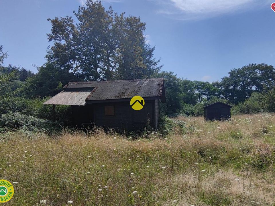 Helårsgrund i Mornay-sur-Allier, Cher - foto 3