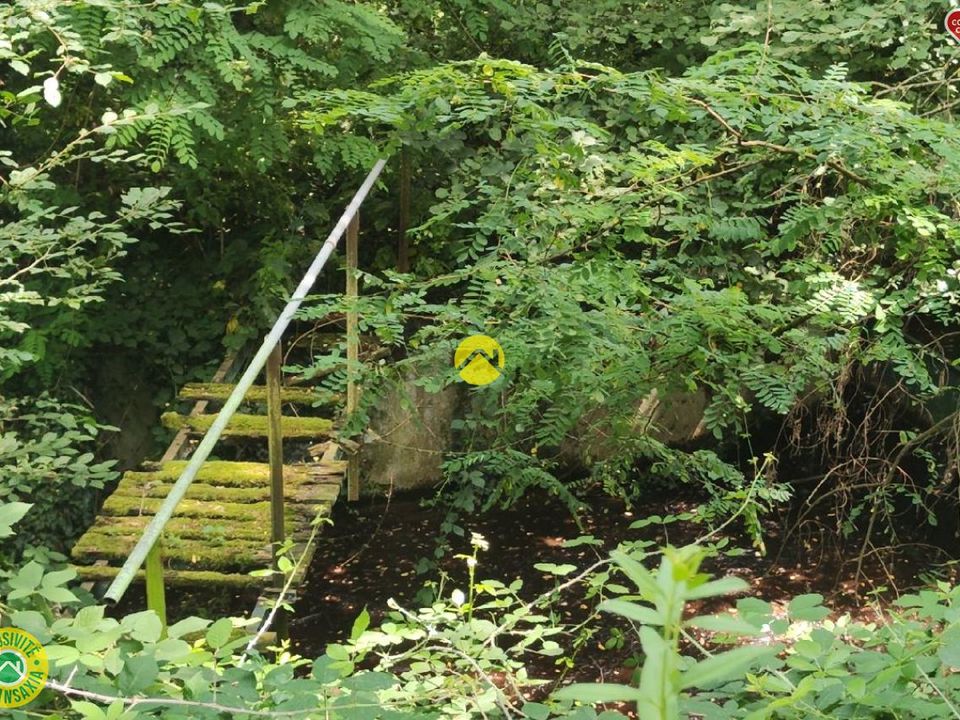 Helårsgrund i Mornay-sur-Allier, Cher - foto 5