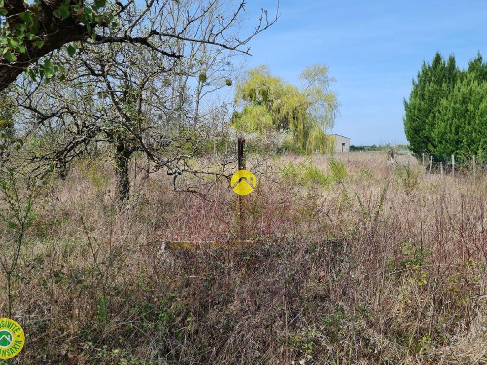 Tomt i Châtillon-sur-Indre, Indre - bilde 4