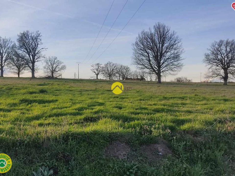 Terra a Villefranche-d'Allier, Allier - foto 1