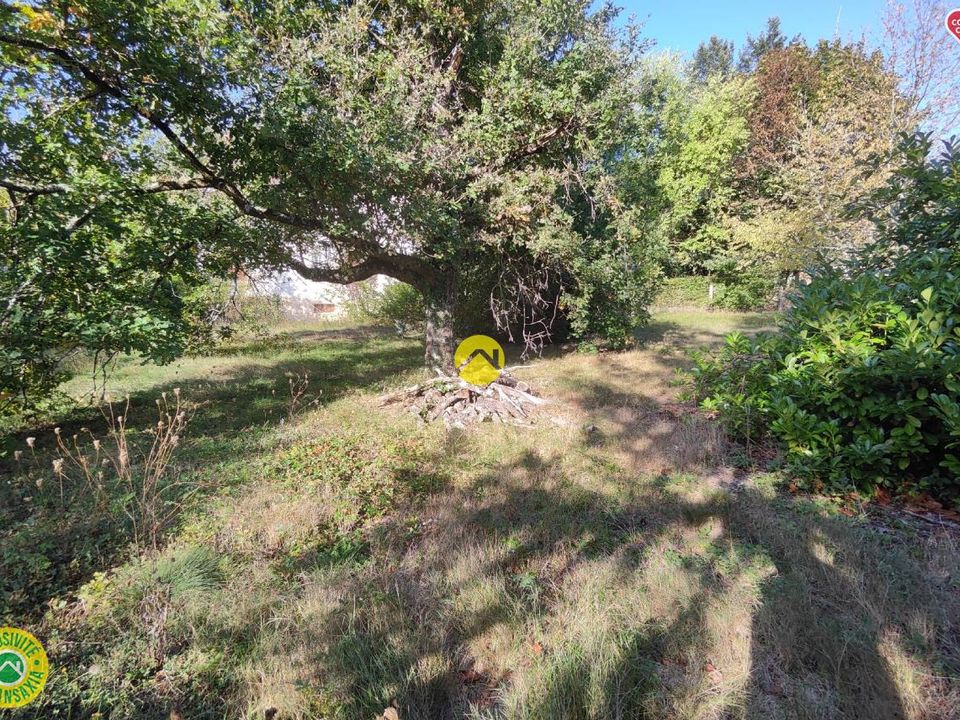 Helårsgrund i Jouet-sur-lAubois, Cher - foto 5