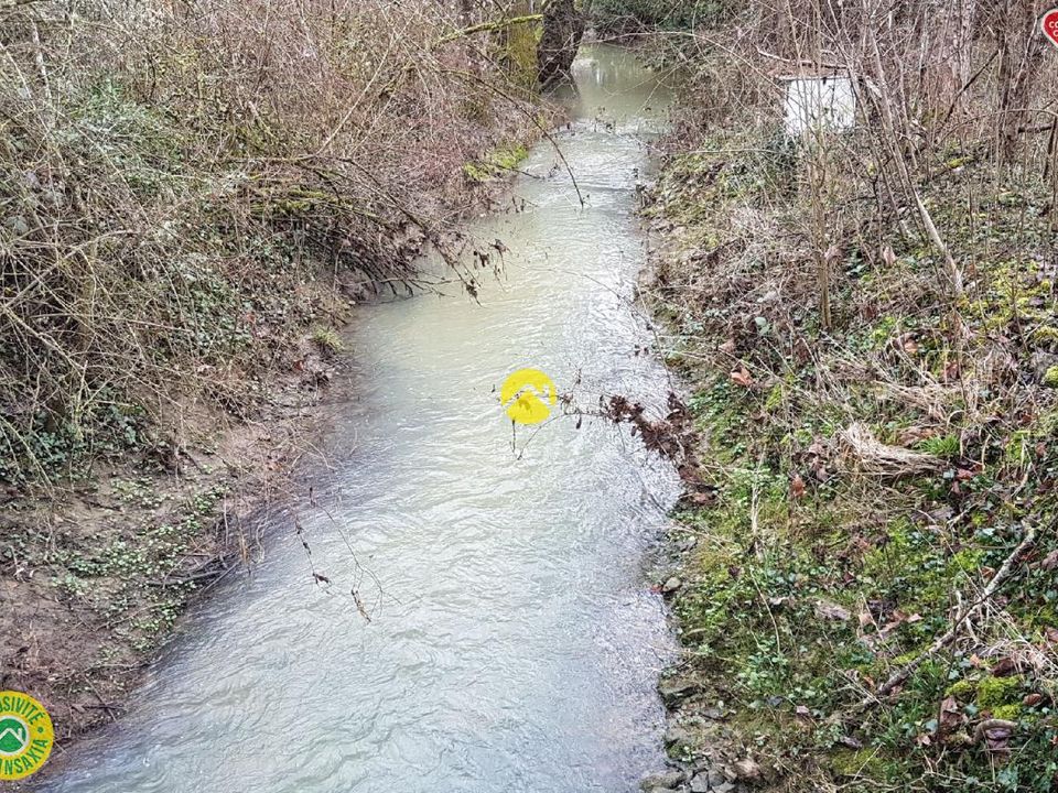 Helårsgrund i Germigny-L'Exempt, Cher - foto 4
