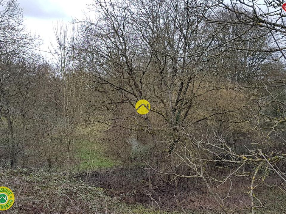Terra a Germigny-L'Exempt, Cher - foto 5