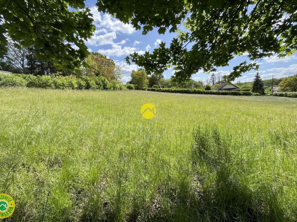 Land in Vallenay, Cher - photo 1