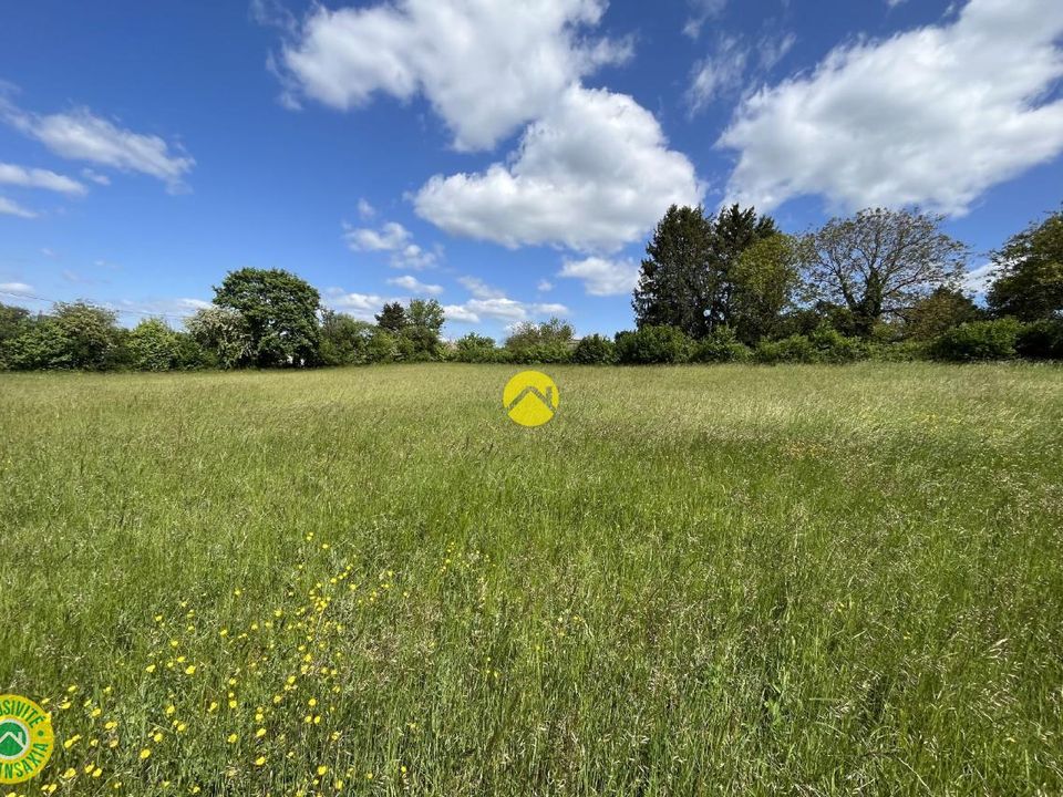 Land in Vallenay, Cher - photo 3