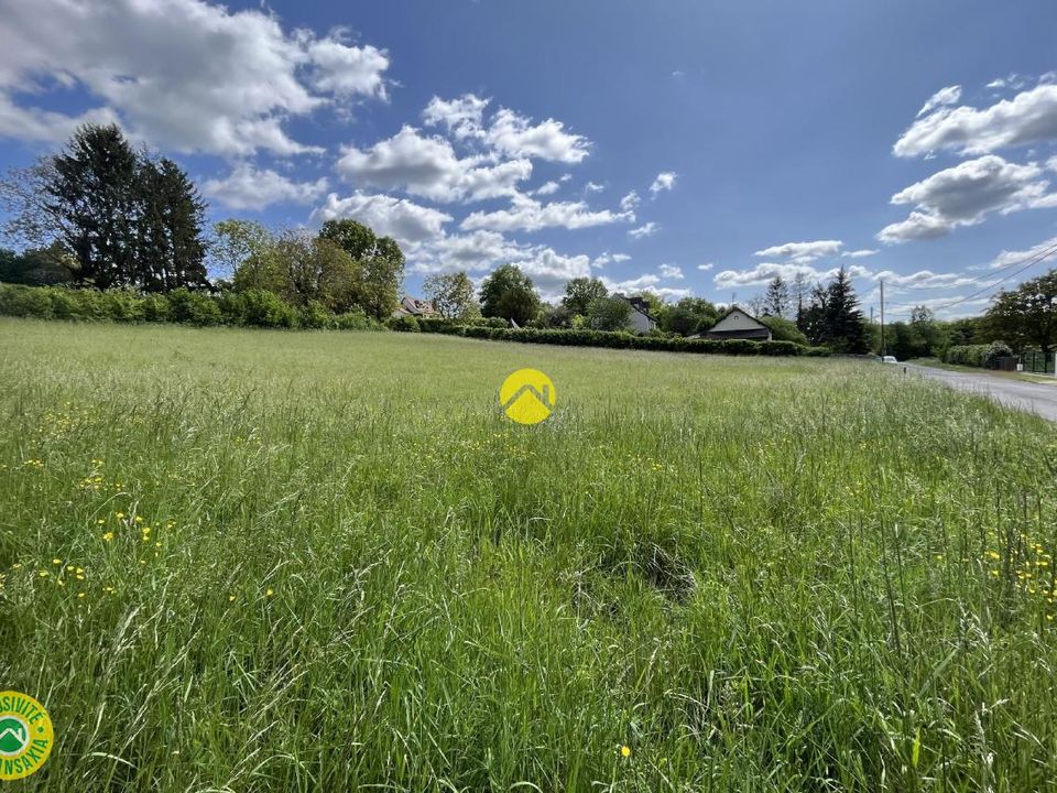 Land in Vallenay, Cher - photo 5