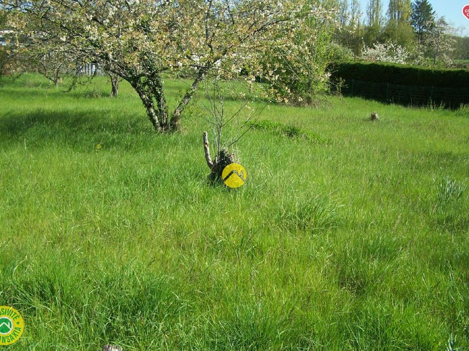 Helårsgrund i Primelles, Cher - foto 3