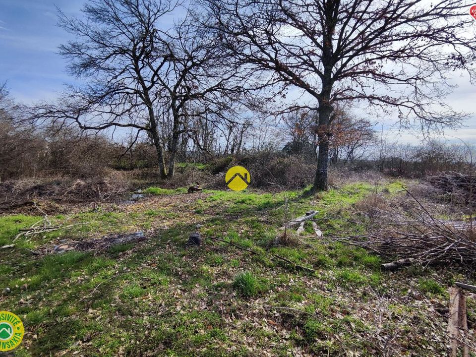 Helårsgrund i Jouet-sur-l'Aubois, Cher - foto 4