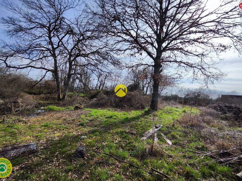 Helårsgrund i Jouet-sur-l'Aubois, Cher - foto 5