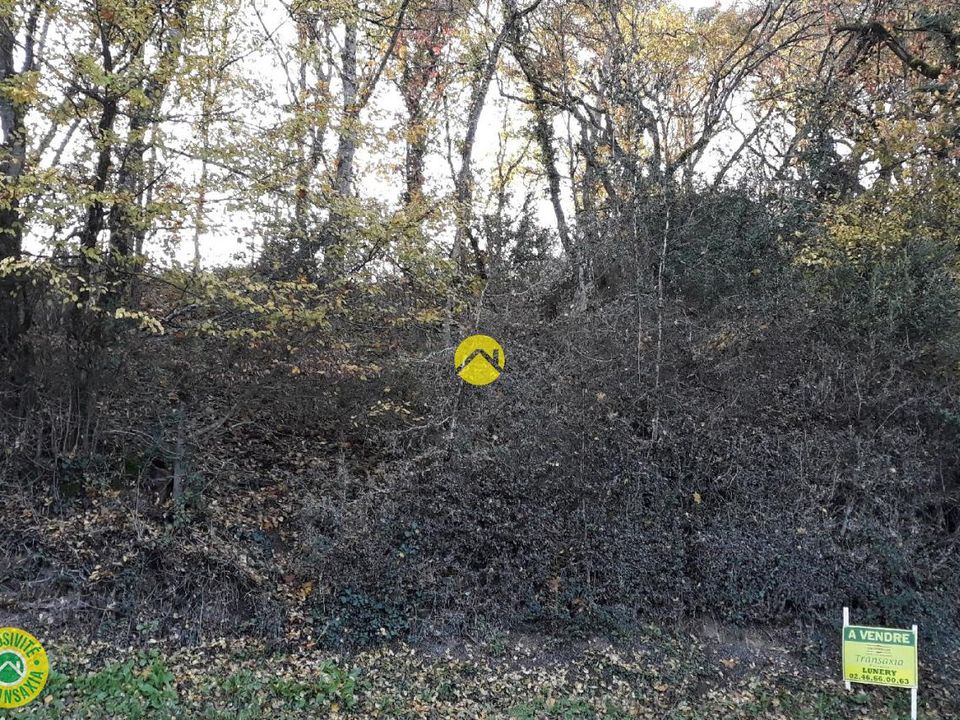Helårsgrund i Saint-Florent-sur-Cher, Cher - foto 1