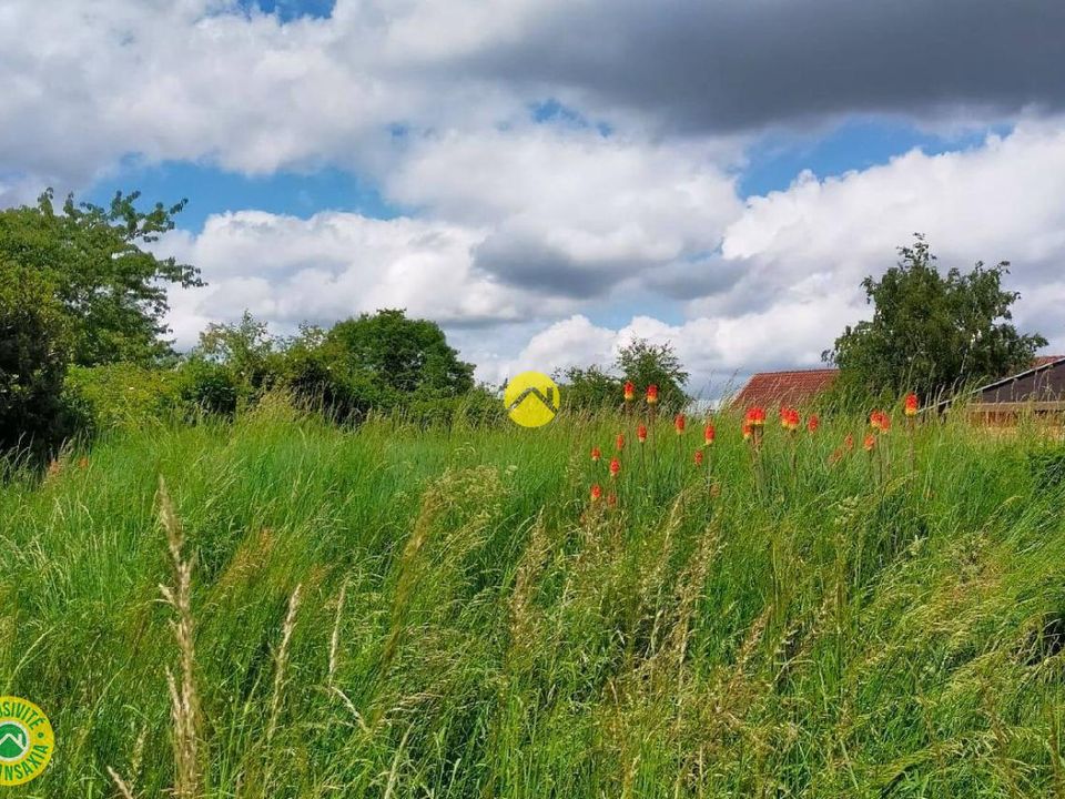 Helårsgrund i Mornay-sur-Allier, Cher - foto 5