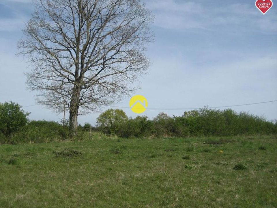 Helårsgrund i Franchesse, Allier - foto 4
