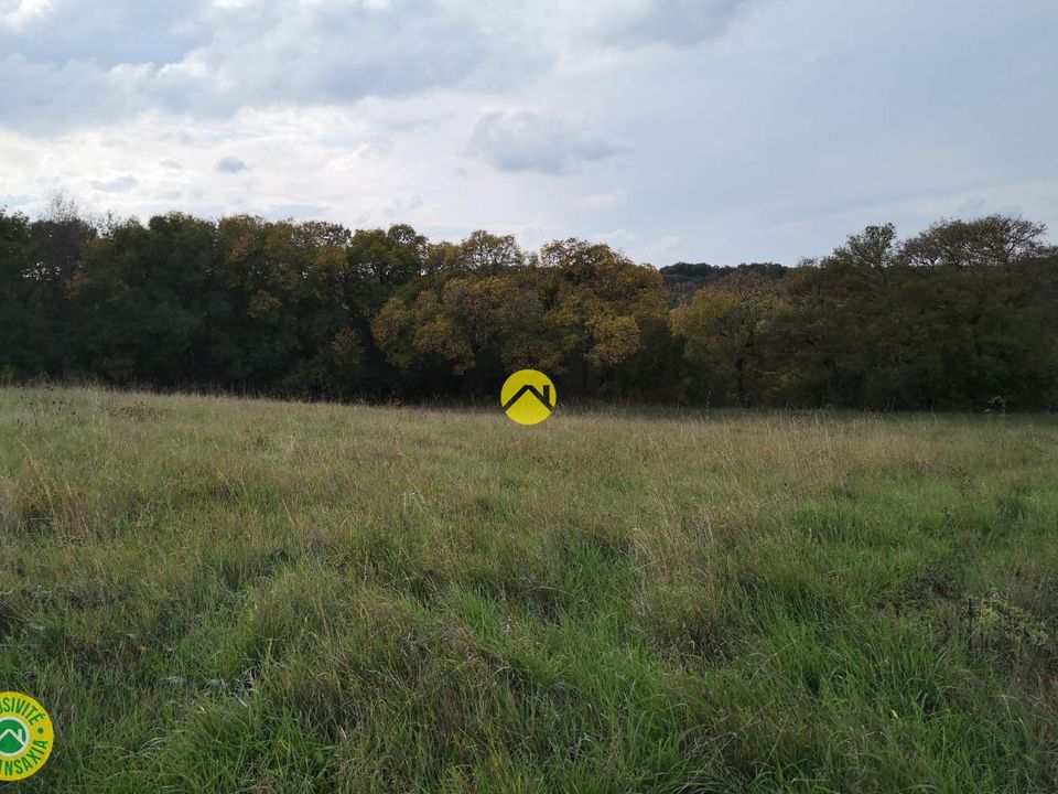 Helårsgrund i Rogny-les-Sept-Écluses, Yonne - foto 3