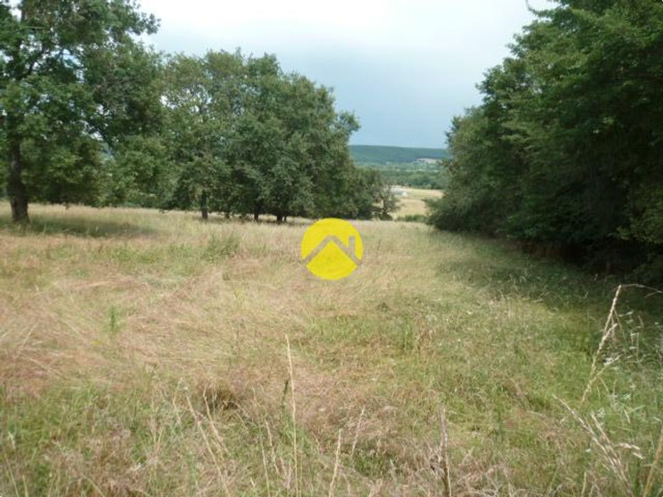 Land in Nozières, Cher - photo 1