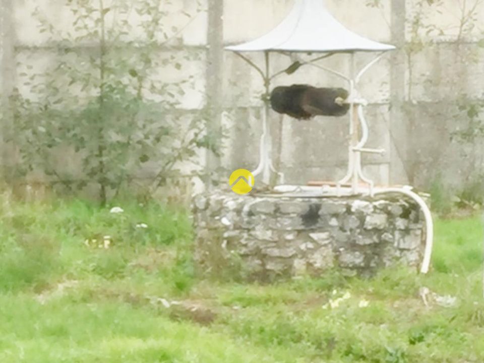 Villa i Sancoins, Cher - foto 3
