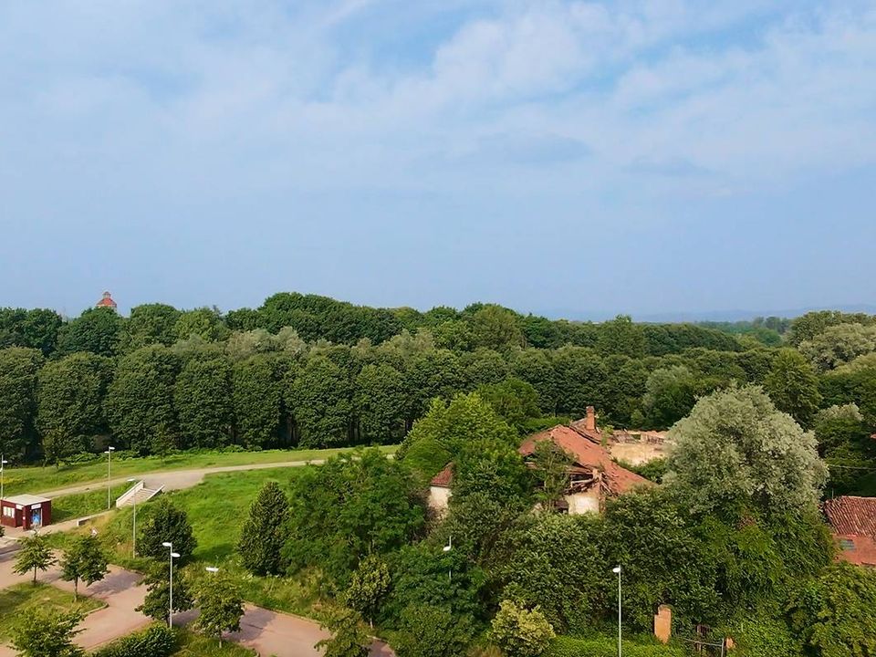 Helårsgrund i Venaria Reale, Turin - foto 3