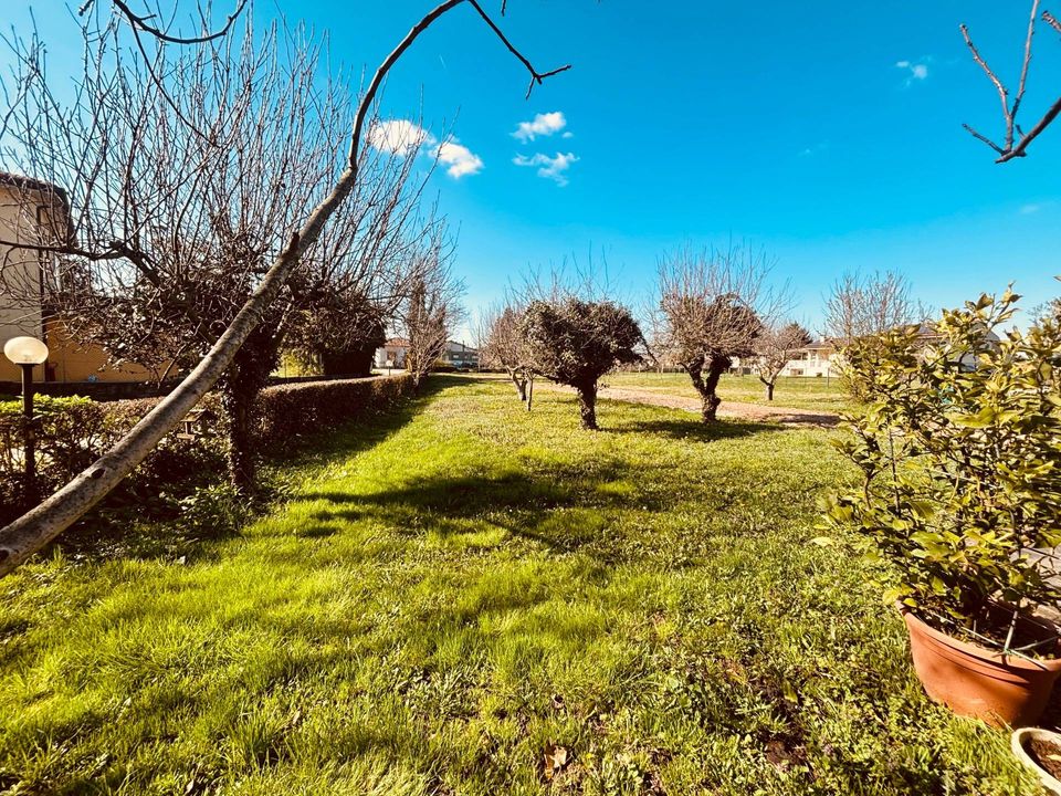 Helårsgrund i Montagnana, Padua - foto 2