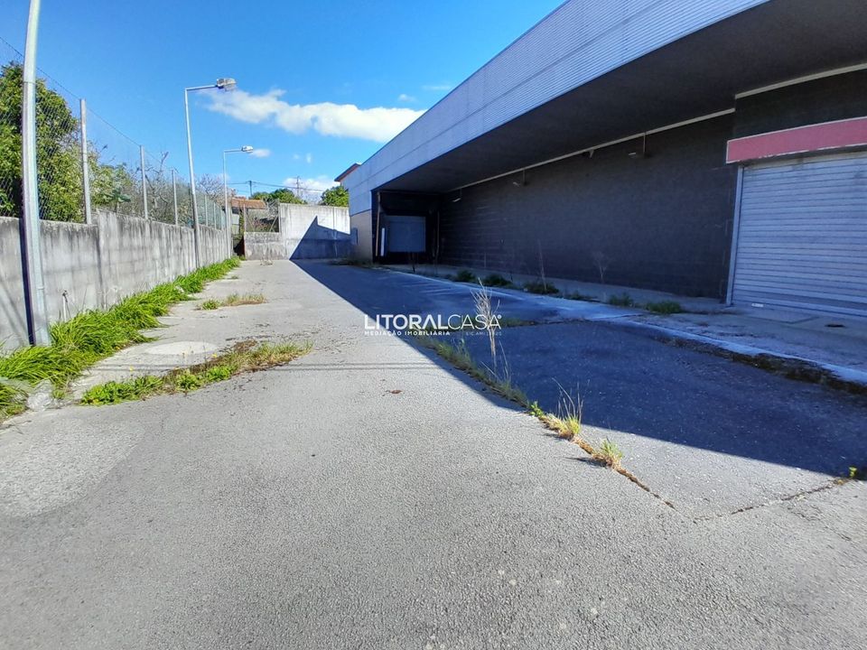 Erhvervsejendom i Cantanhede, Coimbra - foto 1