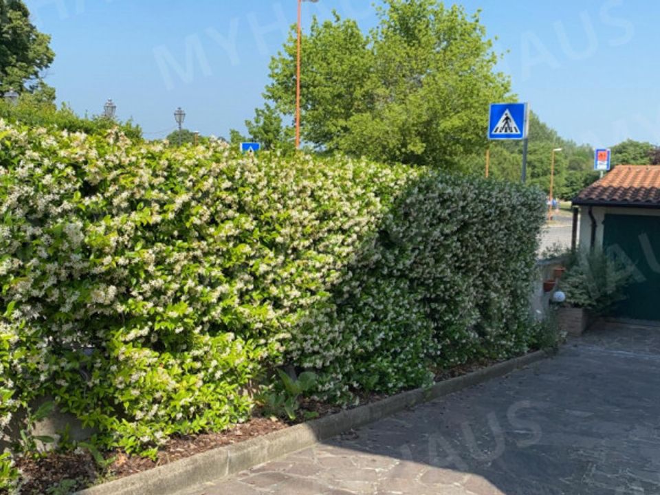 Villa i Cesena, Forli-Cesena - foto 3