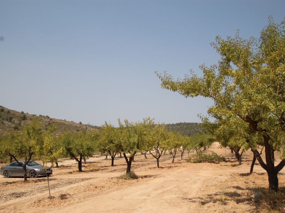 Villa i Pinoso, Alicante - foto 4