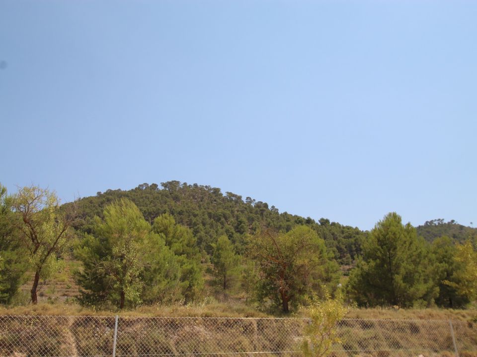 Villa i Pinoso, Alicante - foto 4