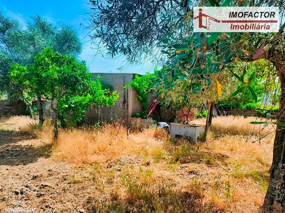 Farm hus i Idanha-a-Nova, Castelo Branco - foto 5