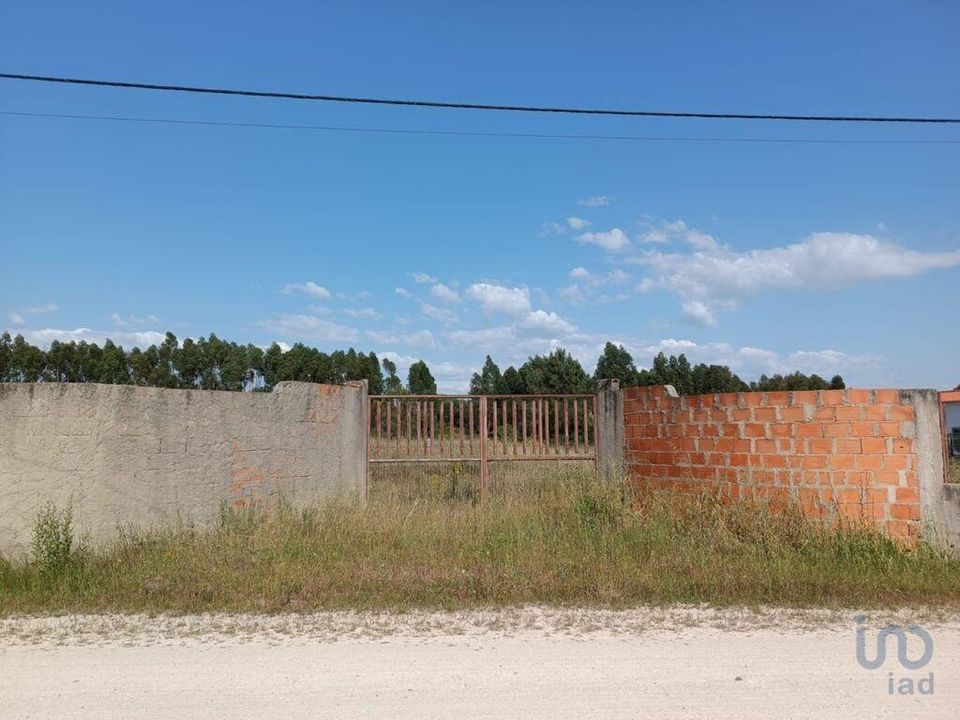 Tomt i Benavente, Santarem - bilde 2