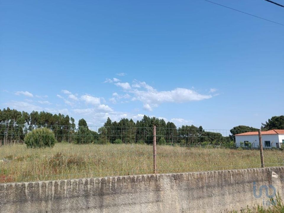 Tomt i Benavente, Santarem - bilde 3