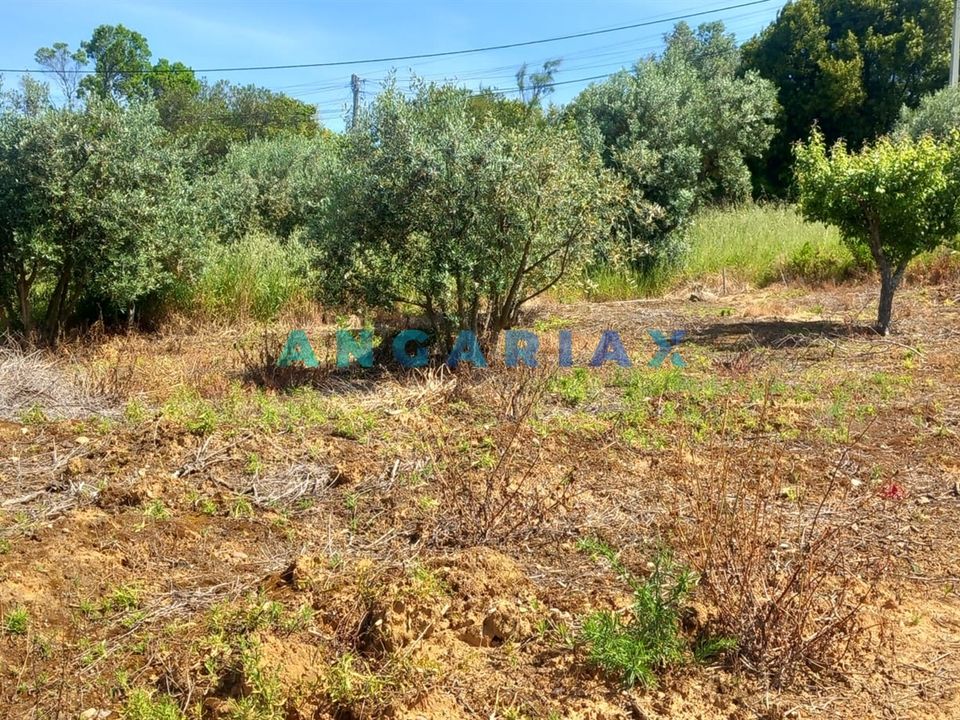 Helårsgrund i Leiria, Leiria - foto 4