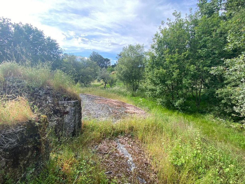 Villa i Ranhados, Viseu - bilde 3