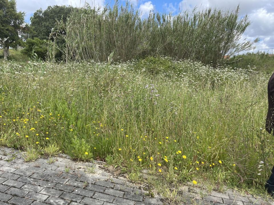Helårsgrund i Leiria, Leiria - foto 4