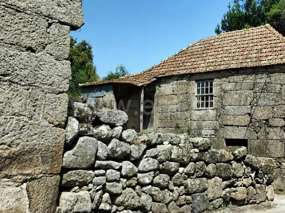Erhvervsejendom i Mangualde, Viseu - foto 3