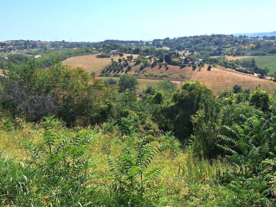 Helårsgrund i Macerata, Macerata - foto 2