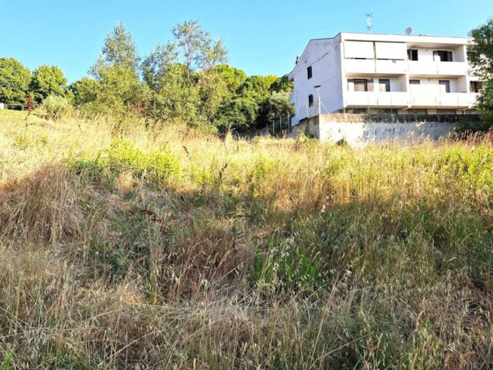 Tomt i Bertinoro, Forli-Cesena - bilde 5