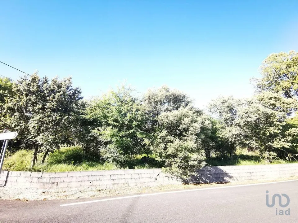 Terra a Ourem, Santarem - foto 2