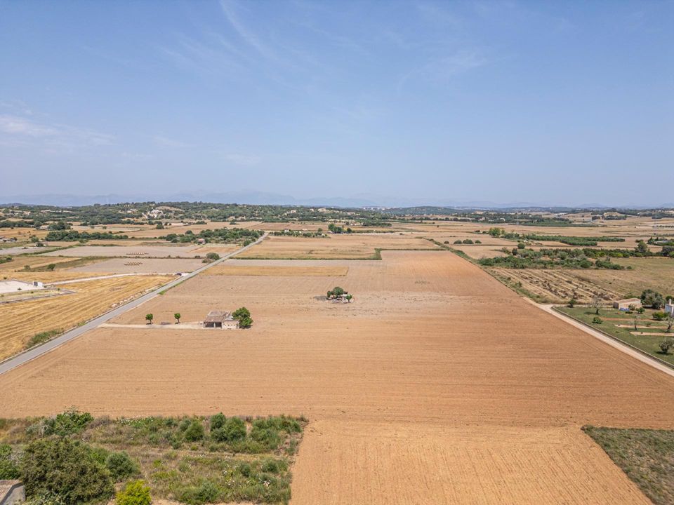 Tomt i Petra, Mallorca - bilde 5