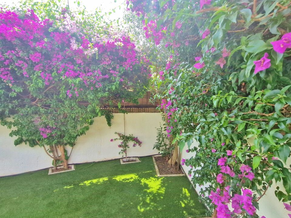 Casa rural em Periana, Malaga - foto 3