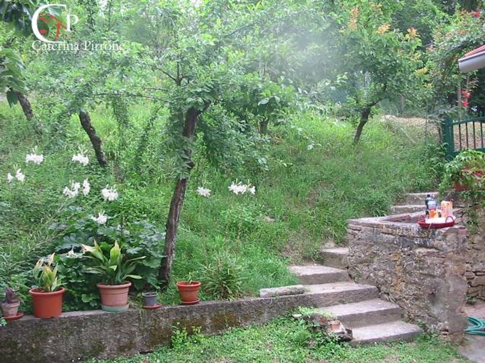 Landejendom i Figline e Incisa Valdarno, Florence - foto 5