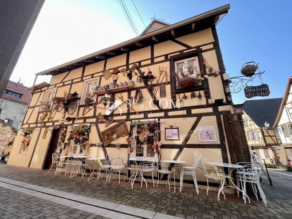 Erhvervsejendom i Bouxwiller, Bas-Rhin - foto 1