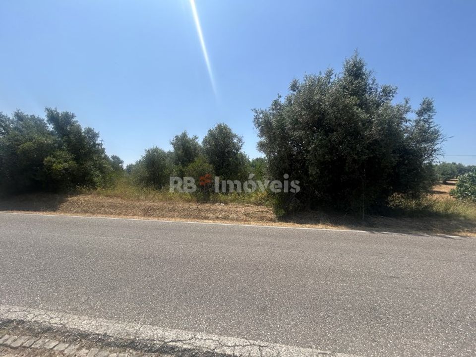 Grond in Assentiz, Santarem - foto 4