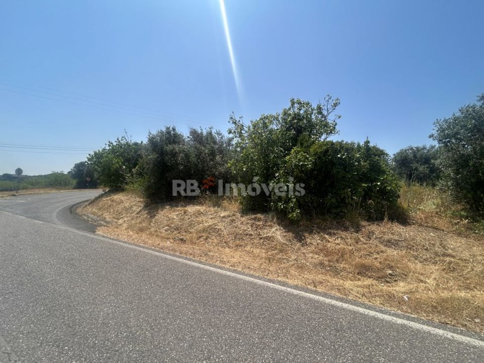 Grond in Assentiz, Santarem - foto 2