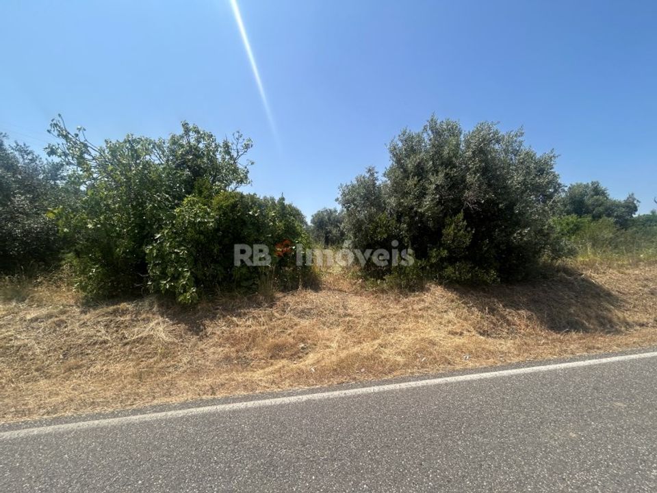 Grond in Assentiz, Santarem - foto 1