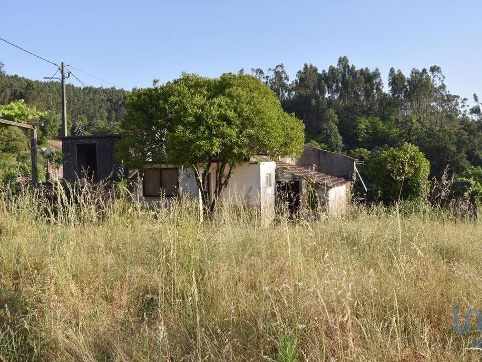 Casa de pueblo en Penela, Coimbra - foto 4